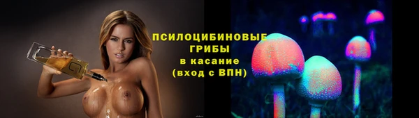 spice Алагир