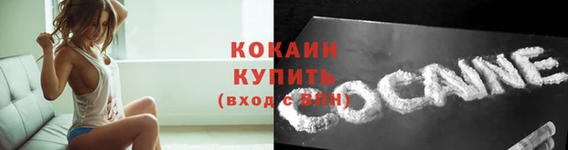 тгк Михайлов