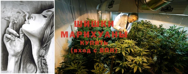 тгк Михайлов