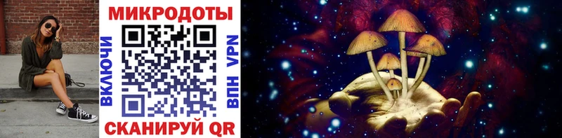 Галлюциногенные грибы Psilocybe  Мураши 